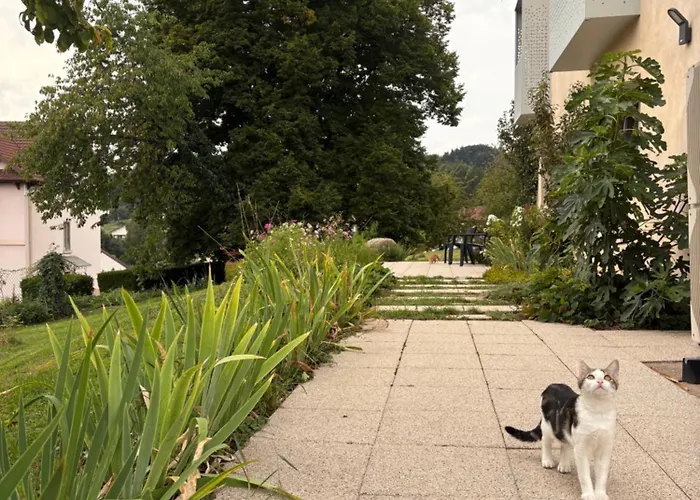 住宿加早餐酒店 La Maison Pres De La Fontaine Paisible 1